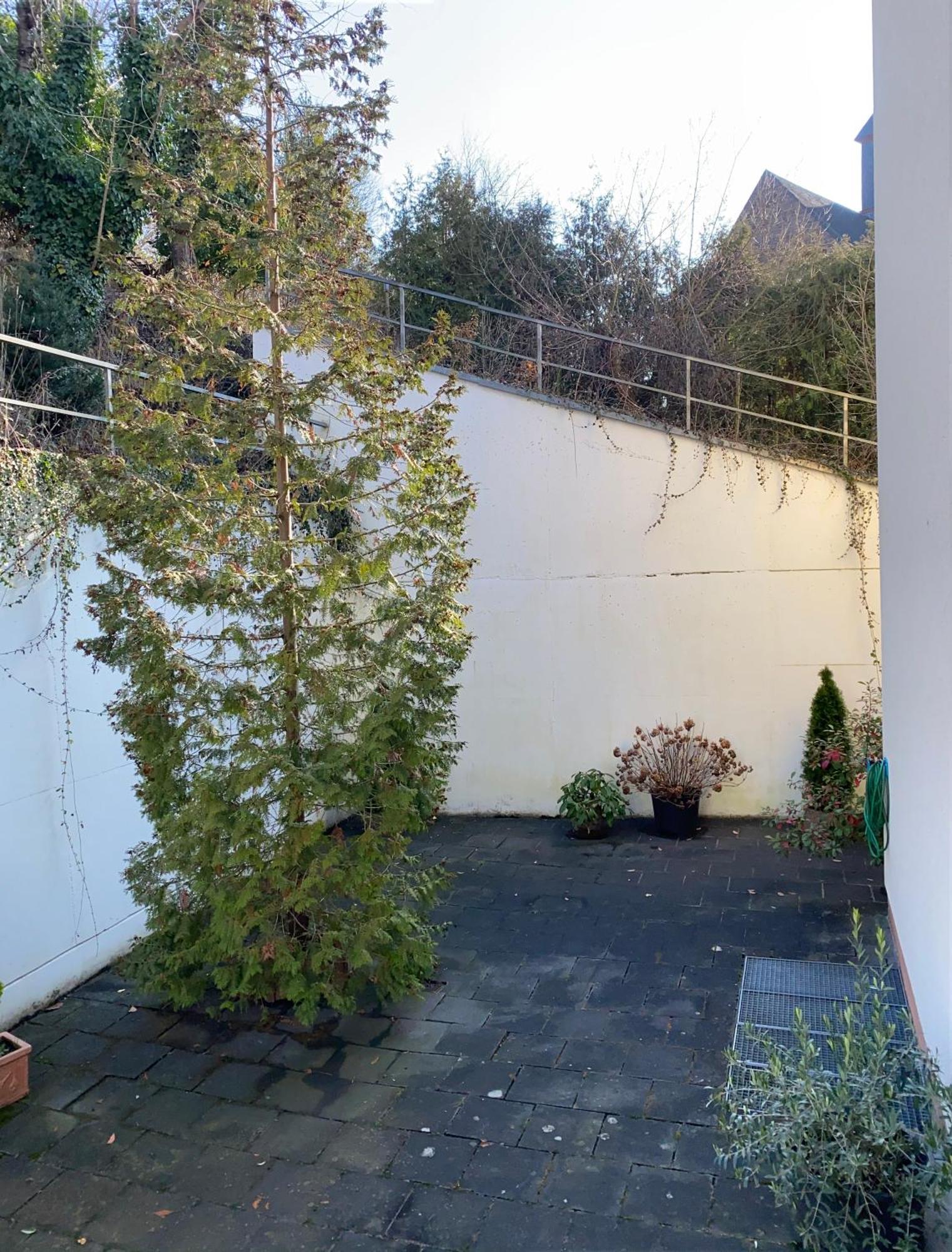 Hotel Traumblick Cochem Quarto foto